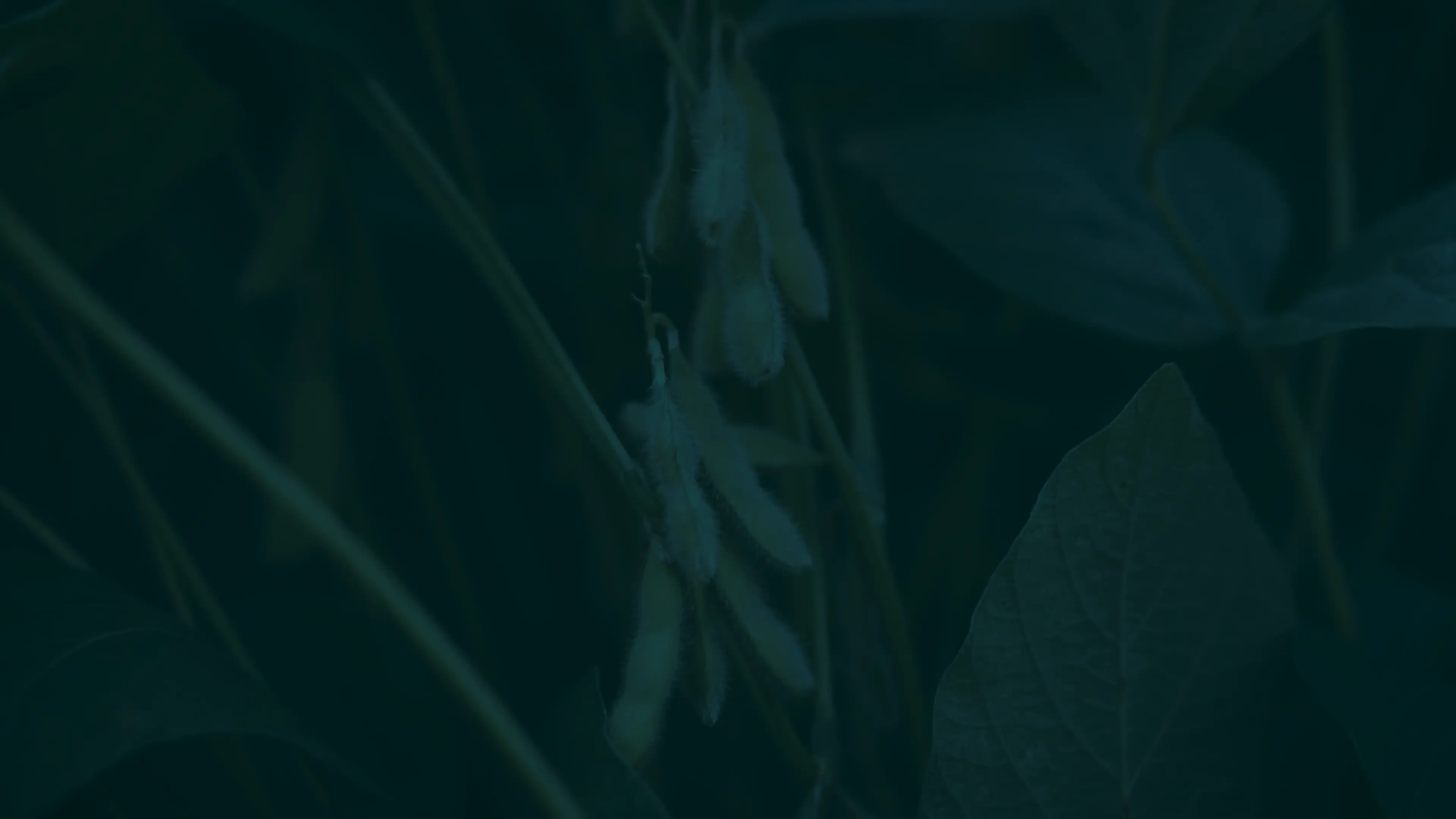 Виробництво